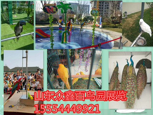 bat365中文官方网站南京市百鸟园展览租赁价格