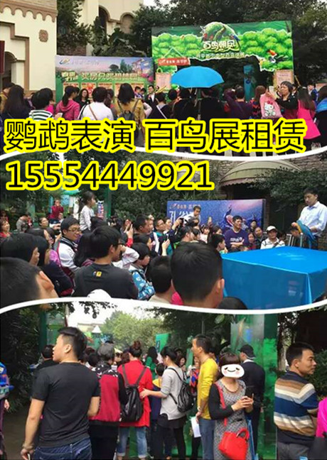 威海市百鸟展租赁出租