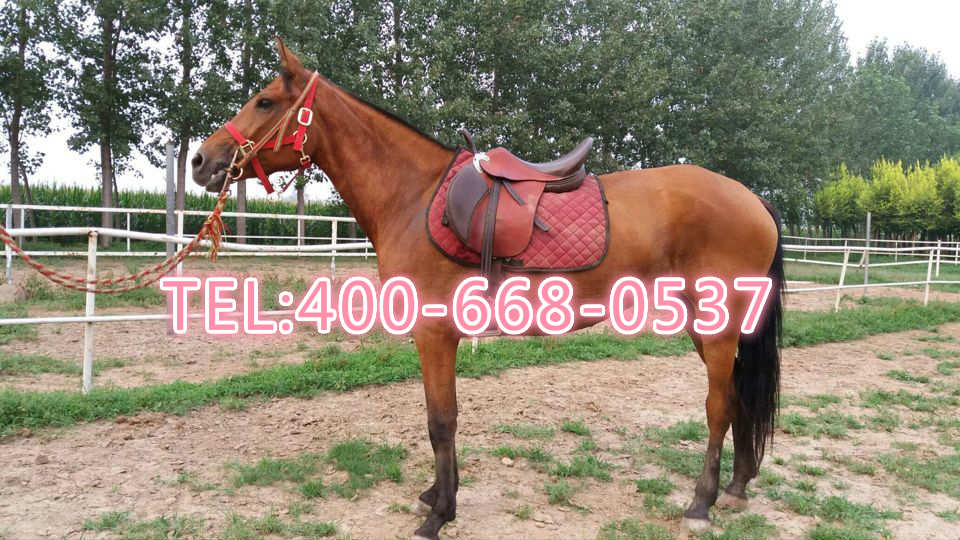 20161031200140239819.jpg