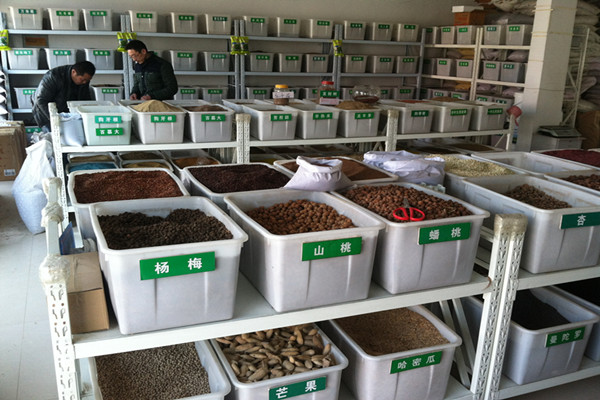 药材种子向哪个部门购买
