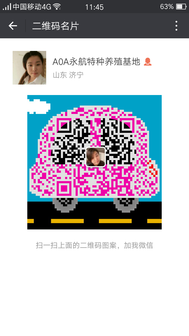 甘肃哪里卖罗威纳犬罗威纳犬价格