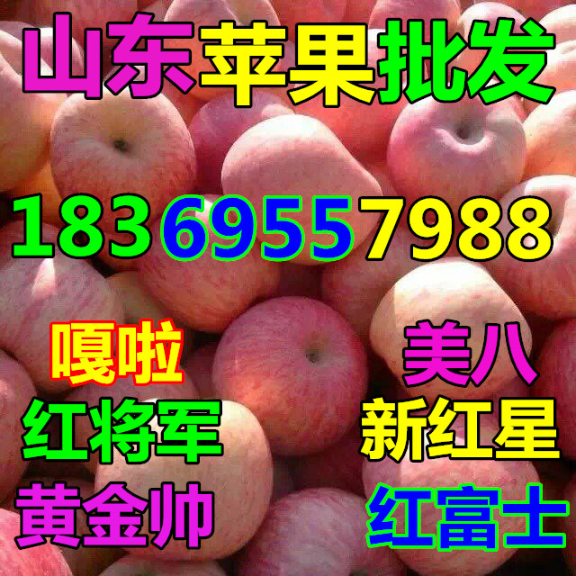 亿兆体育官方网站广东河源纸袋红星苹果批发市场