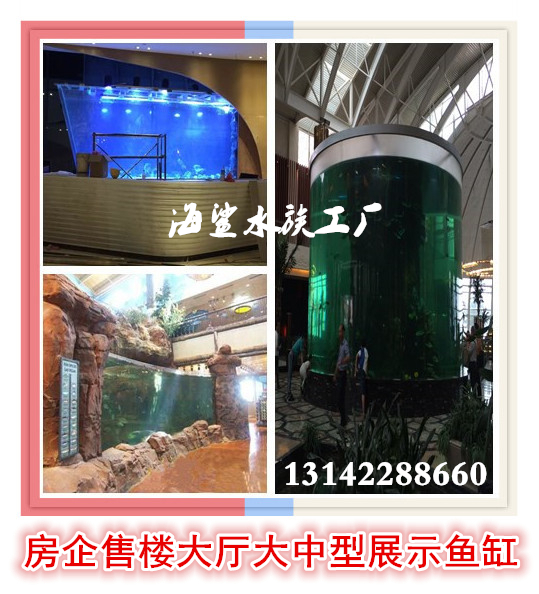 凯发k8手机客户端本溪丹东东|38cccc|港大型观赏鱼缸制