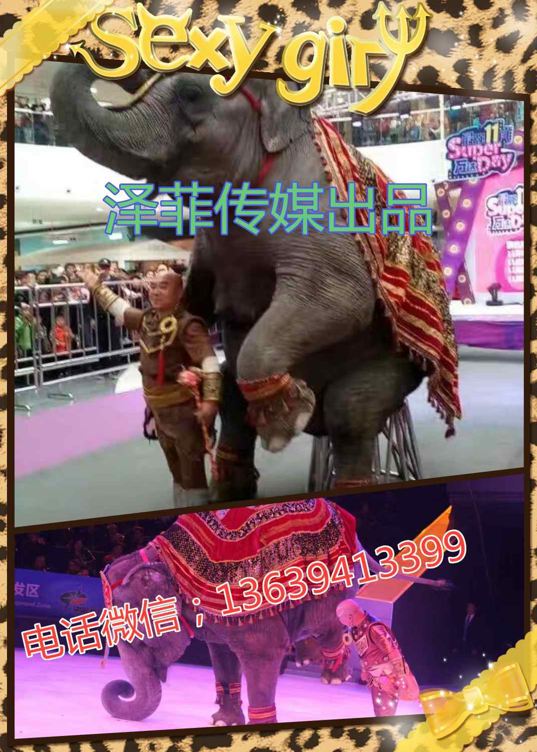 精彩海狮海豹表演展览租赁闸北区ss