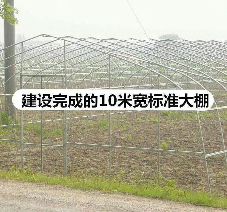 ۽ֳô