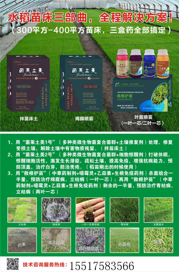 水稻苗床土壤杀菌用啥药好