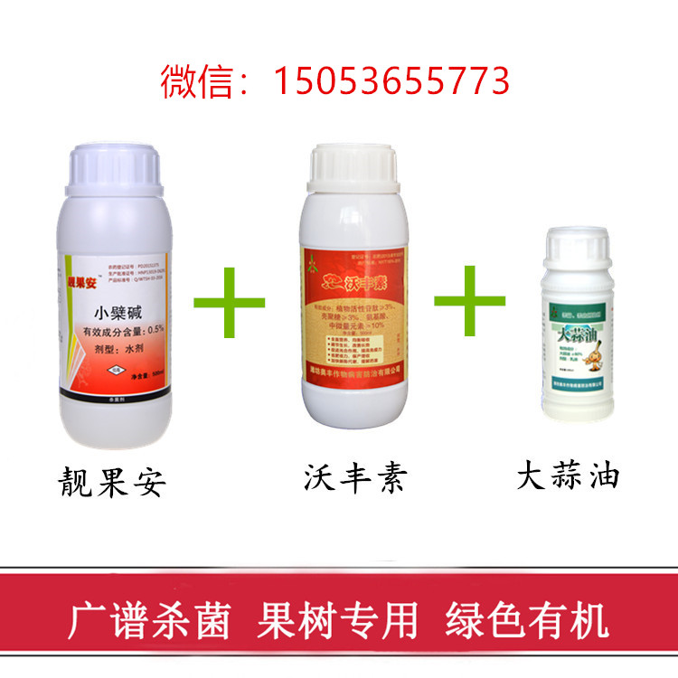 5005291116.jpg