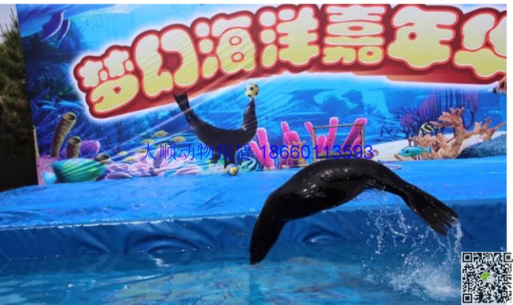 海陆空演艺：一场沉浸式感官盛宴