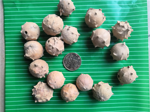 价格走势查询地不容中国药材市场