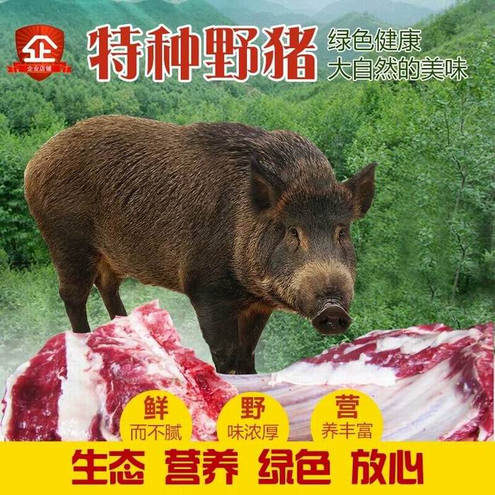 特种野猪养殖国家政策甘南