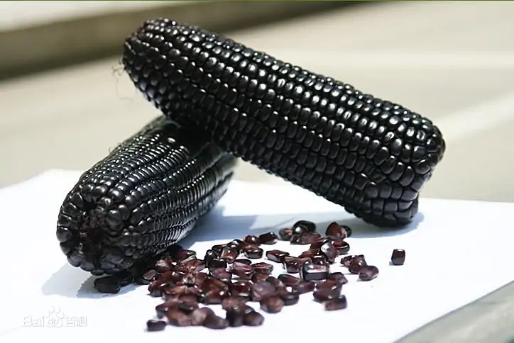 糯玉米种子正品 0118145862.png