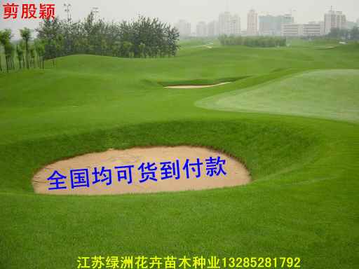 20191004073629665517.jpg