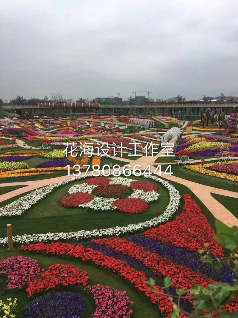荷花和孔雀的自然风景